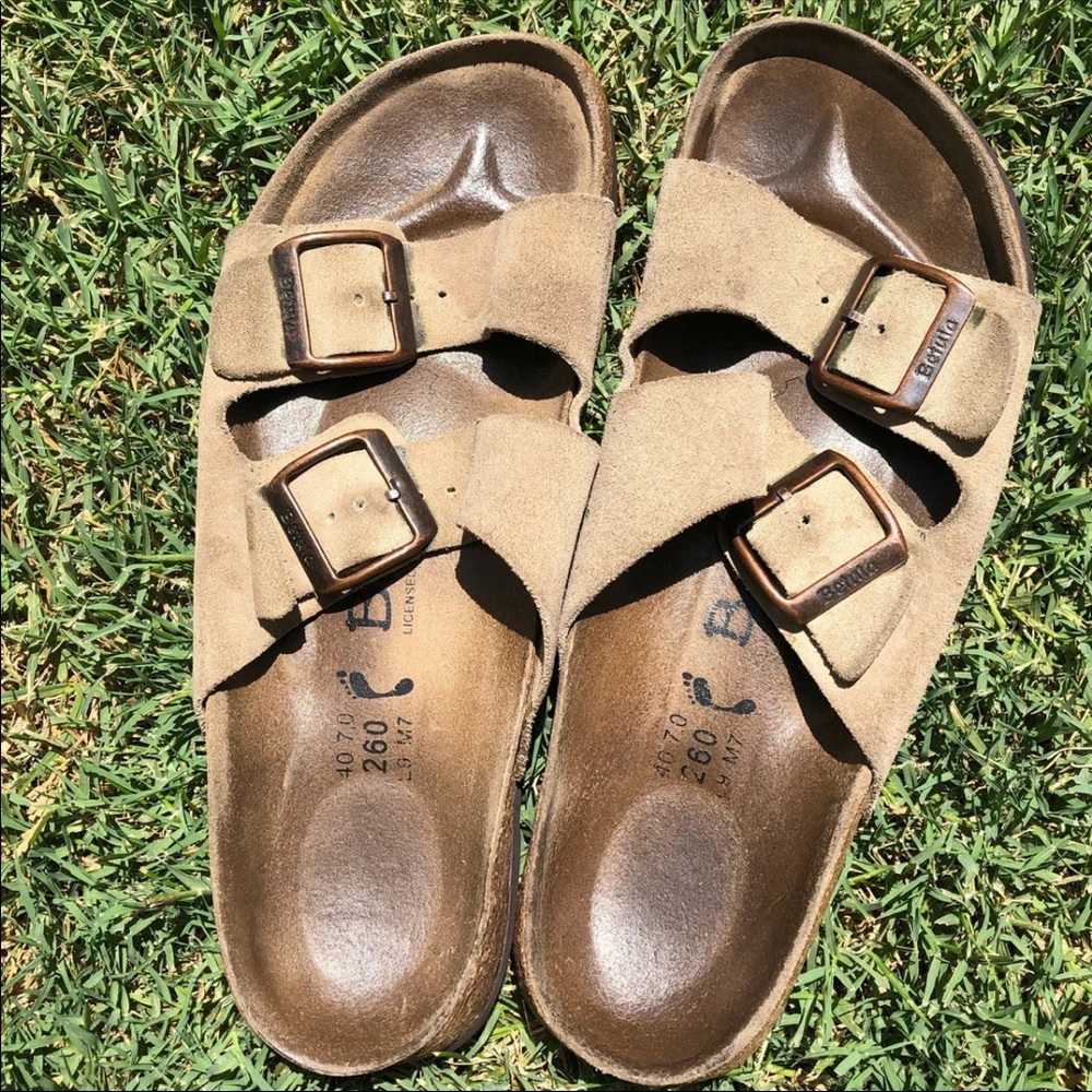 Betula birks